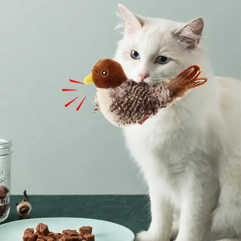 Brinquedo Interativo - Passarinho Para Gatos