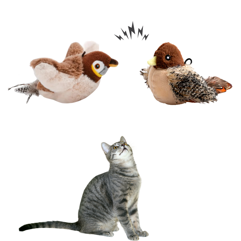Brinquedo Interativo - Passarinho Para Gatos