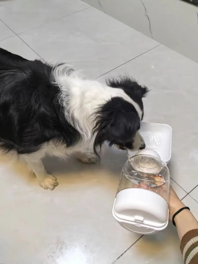 New dog ton ton large capacity pet out drinking pot cat water dispenser portable water cup water and food integrated bowl