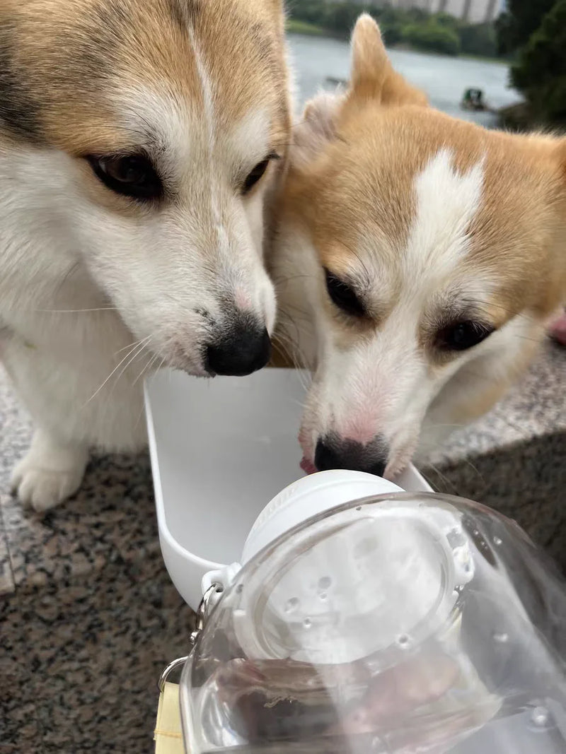 New dog ton ton large capacity pet out drinking pot cat water dispenser portable water cup water and food integrated bowl