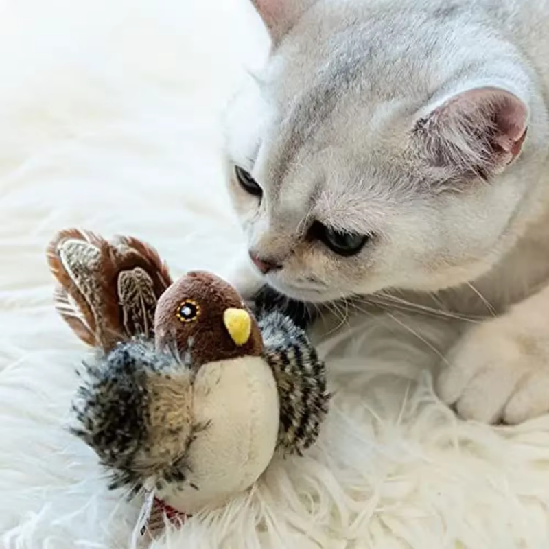 Brinquedo Interativo - Passarinho Para Gatos